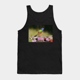 Painted Bunting Bird Male Tank Top